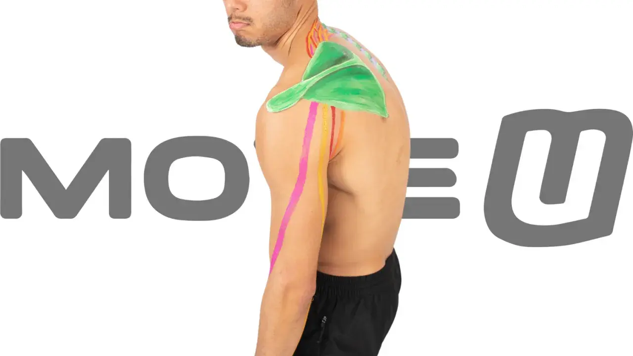Kinesiotaping wdowi garb: kolorowe taśmy na ramieniu i plecach mężczyzny, wspierające postawę.